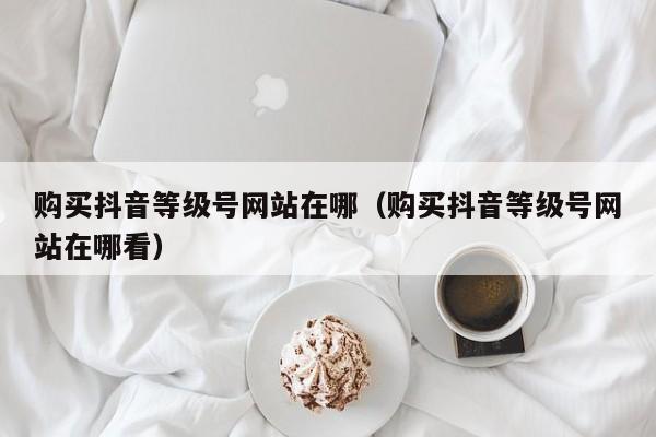 购买抖音等级号网站在哪（购买抖音等级号网站在哪看）(图1)