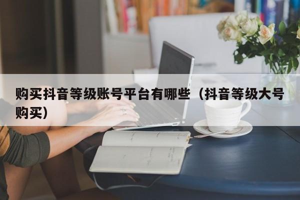 购买抖音等级账号平台有哪些（抖音等级大号购买）(图1)
