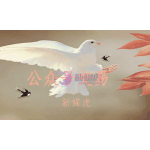 微信公众号交易前需要注意什么？