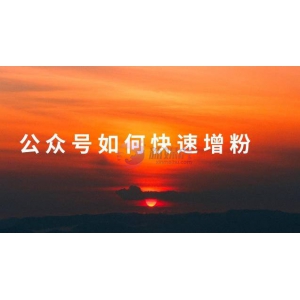 新手公众号如何快速增粉
